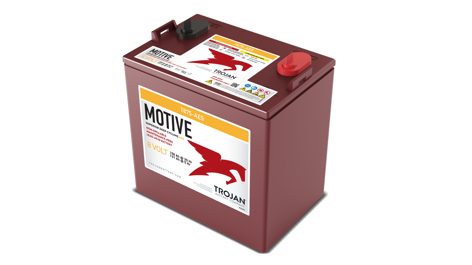 8v-130ah-c5-157ah-c20-169ah-c100-262x179x273mm-0trojan-aes-series-t875-aes